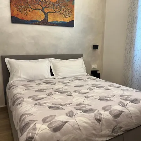 Sogni Di Luna *